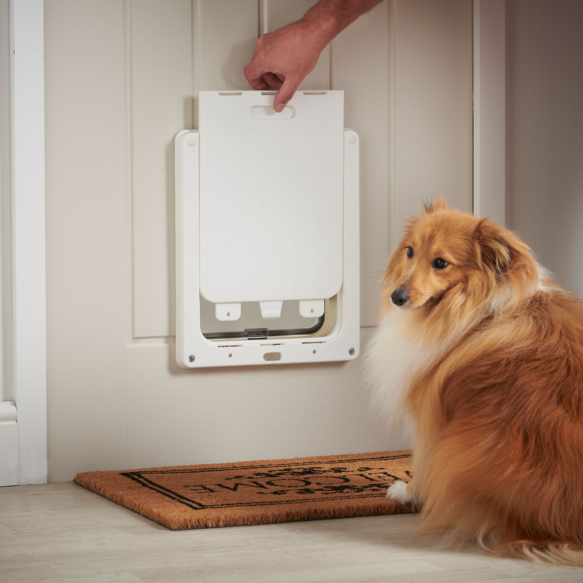 Milo & Misty Pet Flap Large 2 Way Clear Lockable Dog & Cat Milo & Misty Pet Flap Large 2 Way Clear Lockable Dog & Cat